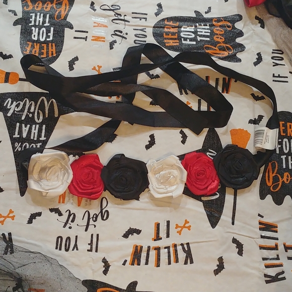 Skeleton bride - Picture 4 of 4